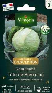 Chou Blanc Tête de Pierre HF1 - Graines d'Exception